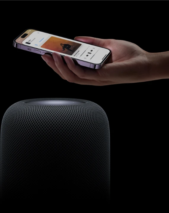 SEO optimization for voice search